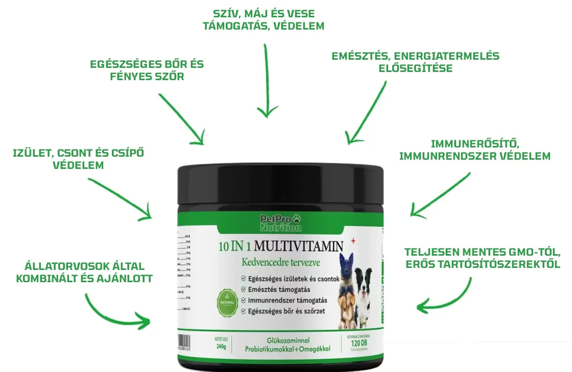 multivitamin kutyáknak